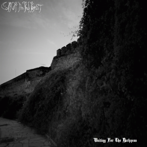 Waiting for the Darkness